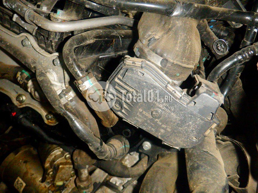 Фото OMODA C5 220