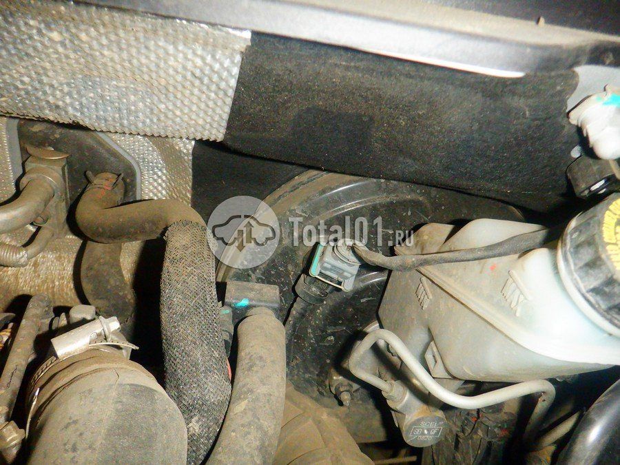 Фото OMODA C5 230