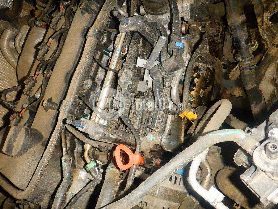 Фото OMODA C5 262