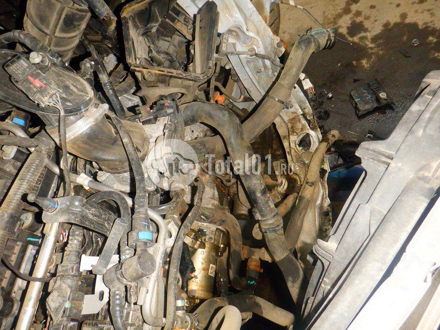 Фото OMODA C5 264