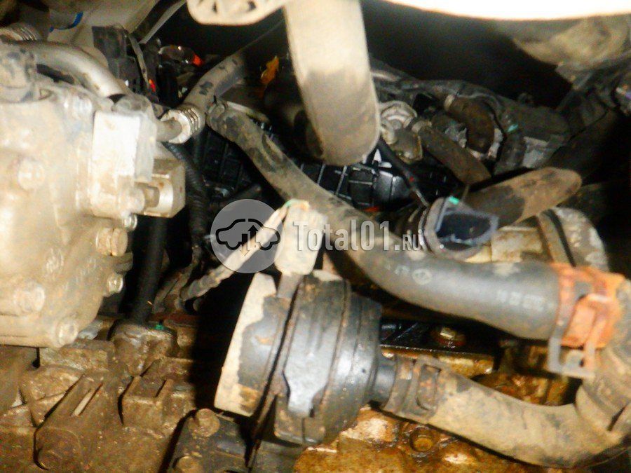 Фото OMODA C5 284