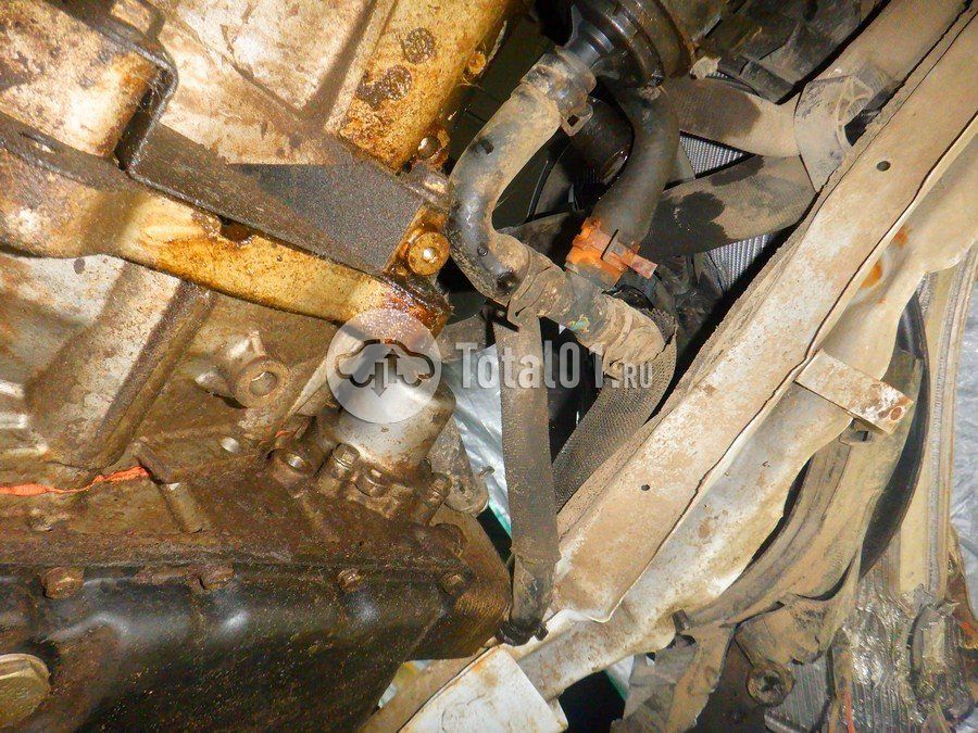 Фото OMODA C5 324