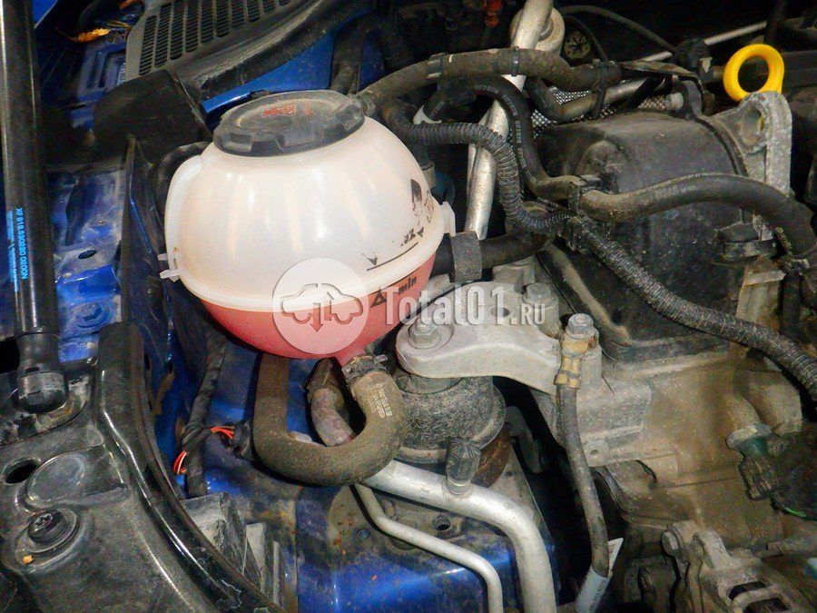 Фото Volkswagen Polo 276