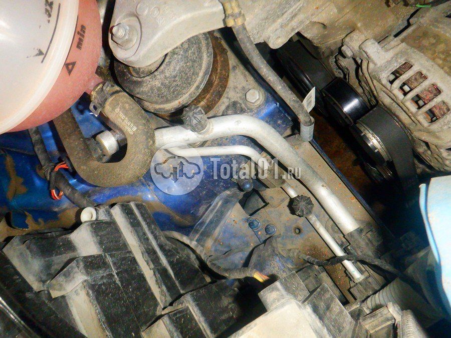 Фото Volkswagen Polo 290