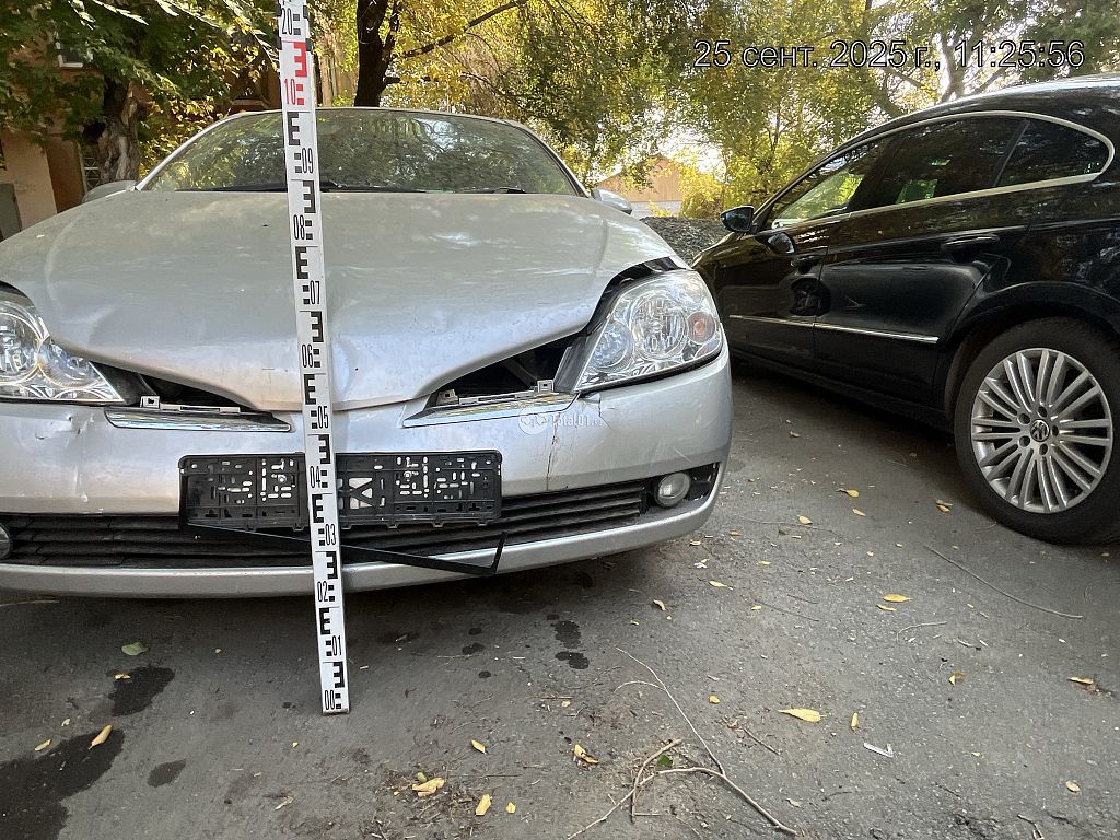 Фото Nissan Primera 12