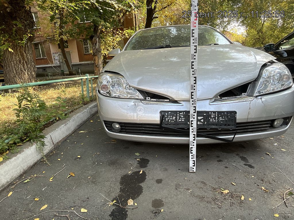 Фото Nissan Primera 14