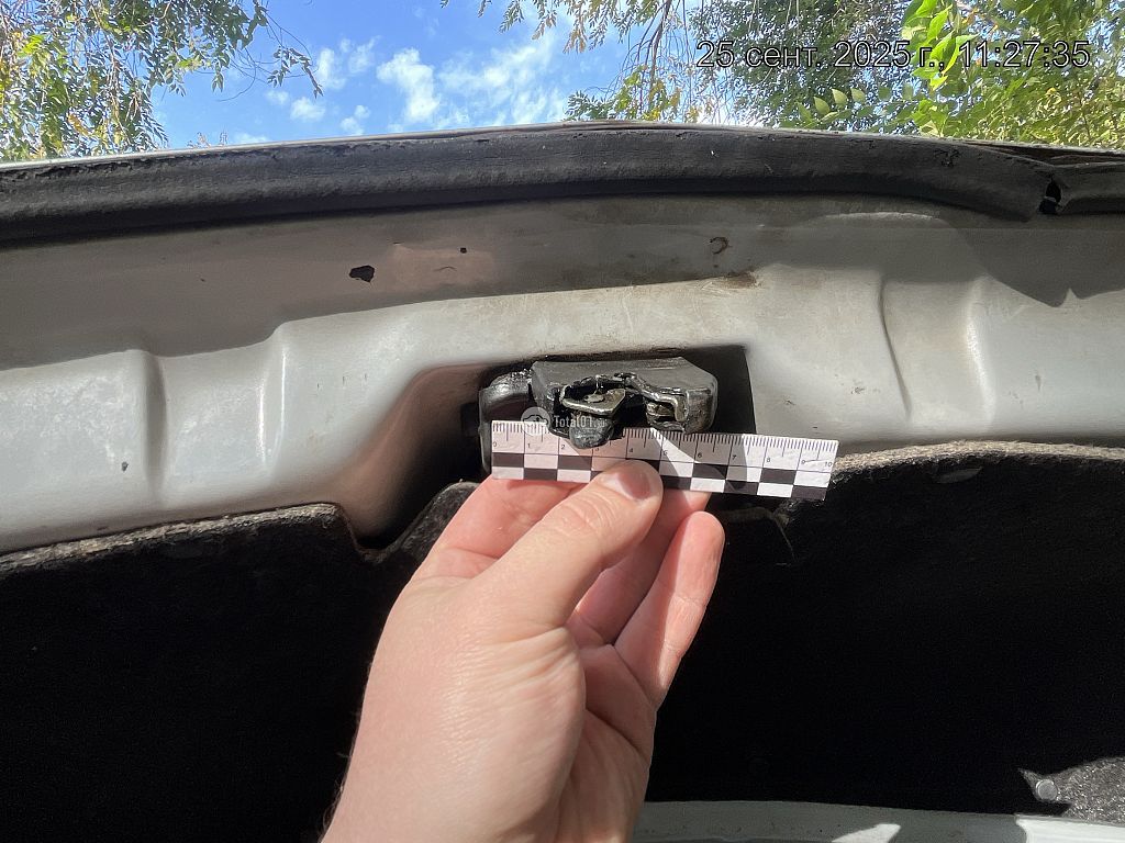 Фото Nissan Primera 66