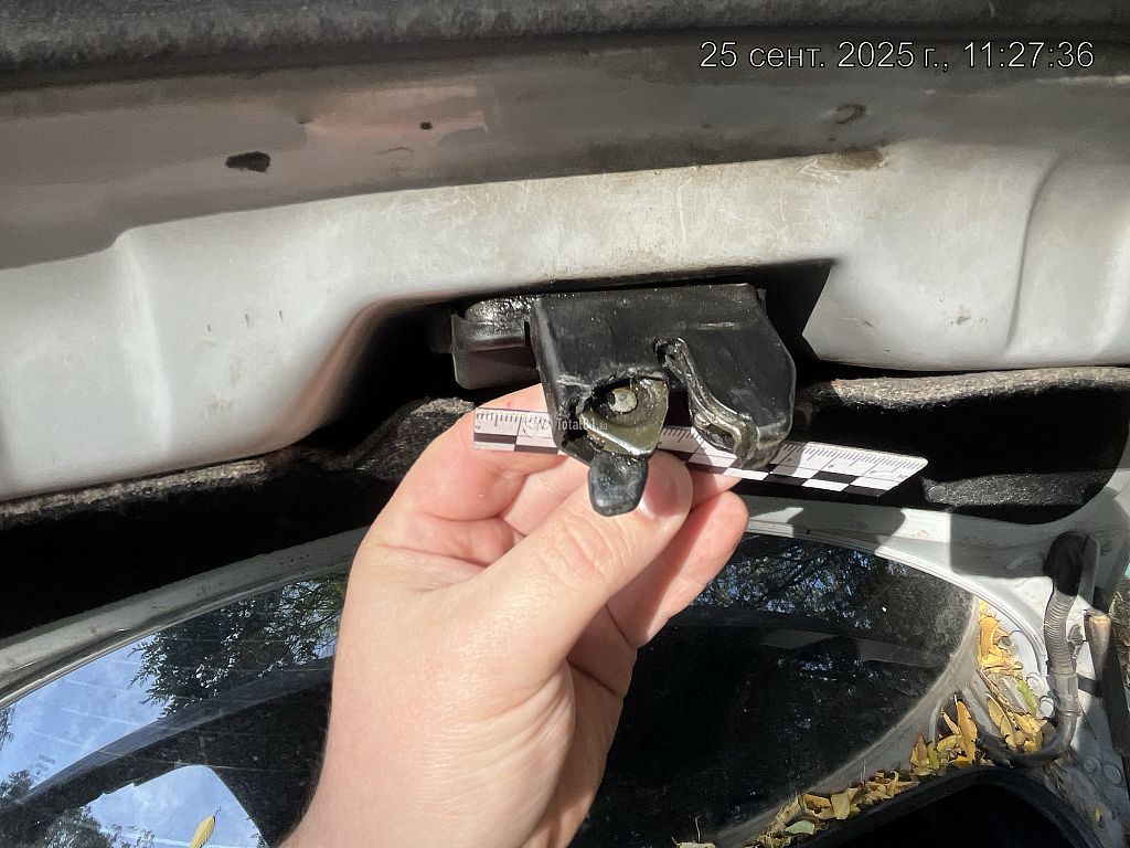 Фото Nissan Primera 68