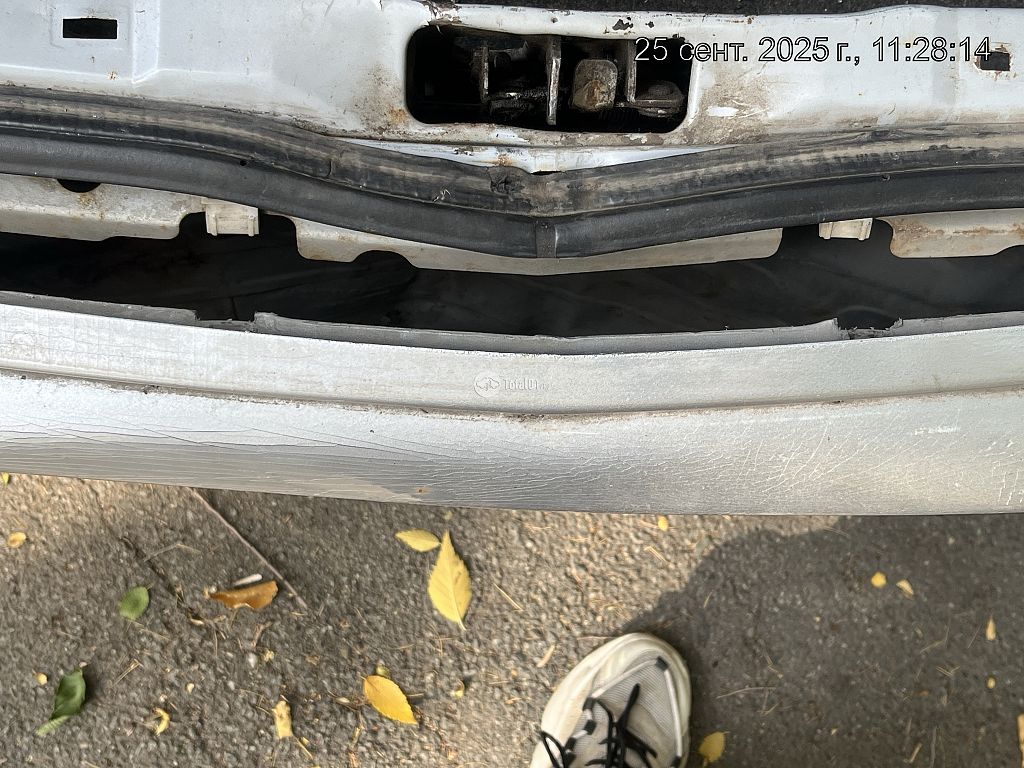 Фото Nissan Primera 80