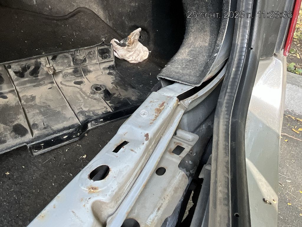 Фото Nissan Primera 100