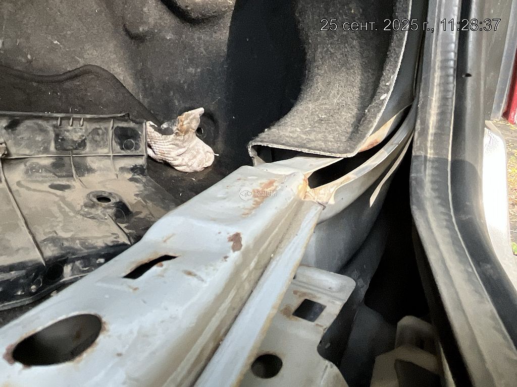 Фото Nissan Primera 102