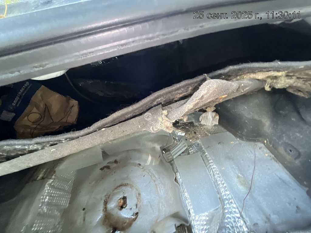 Фото Nissan Primera 194