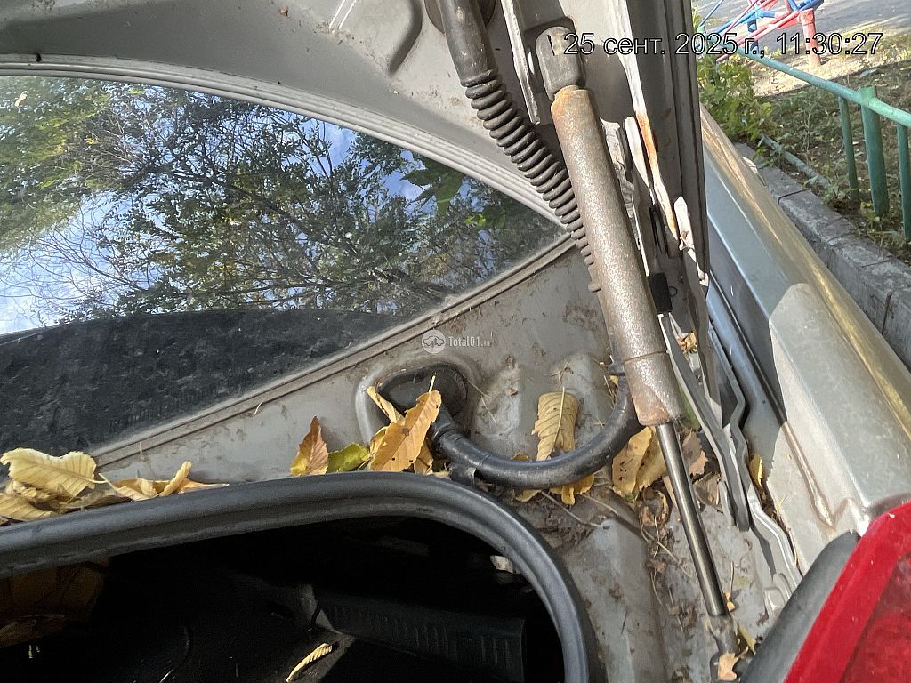 Фото Nissan Primera 206