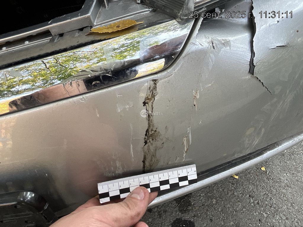 Фото Nissan Primera 234
