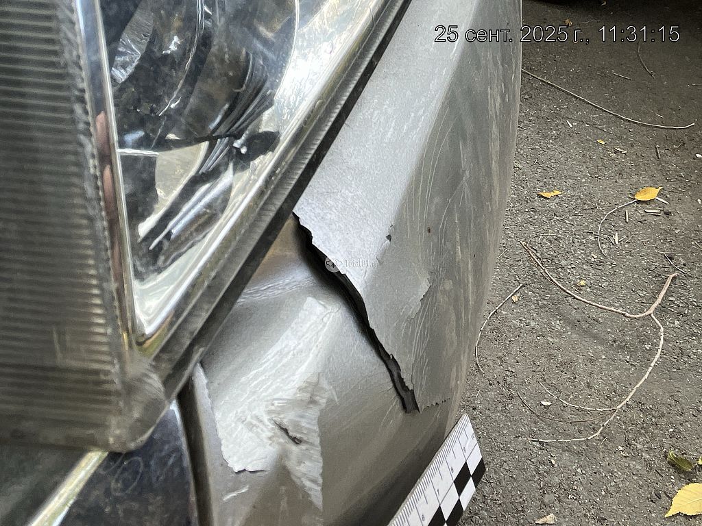 Фото Nissan Primera 238