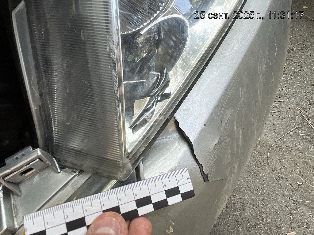 Фото Nissan Primera 240