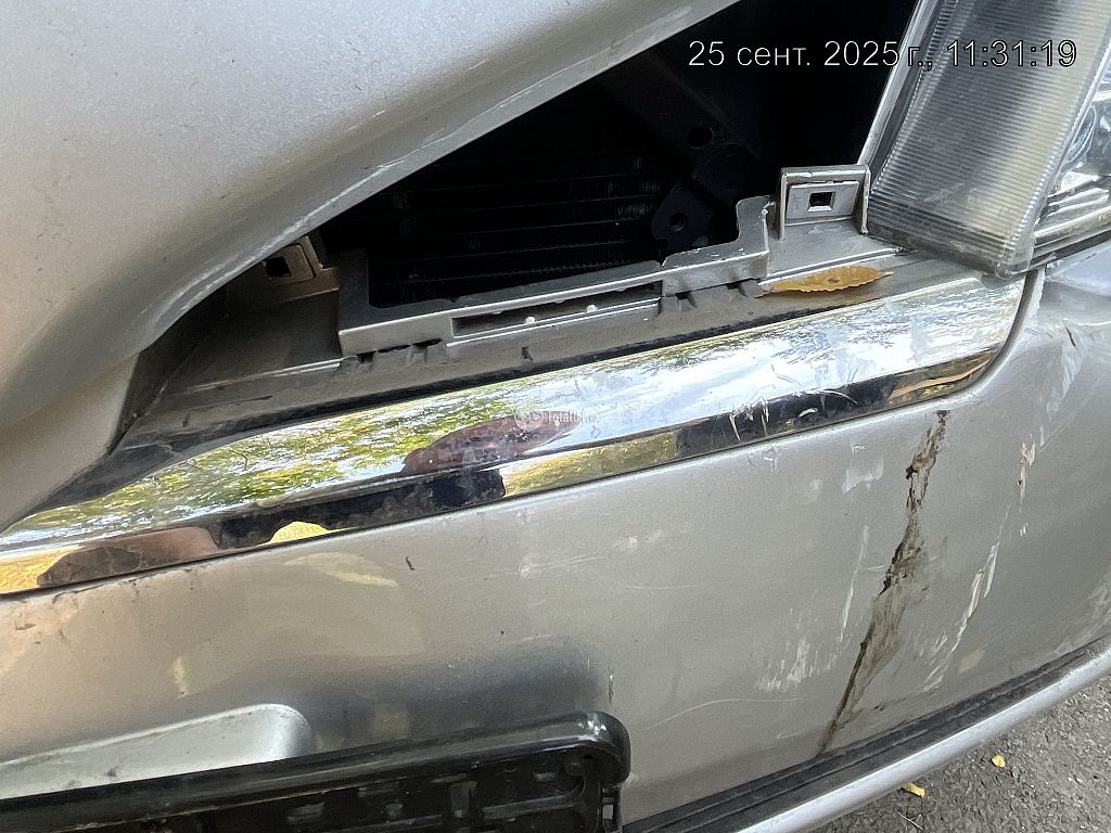 Фото Nissan Primera 244