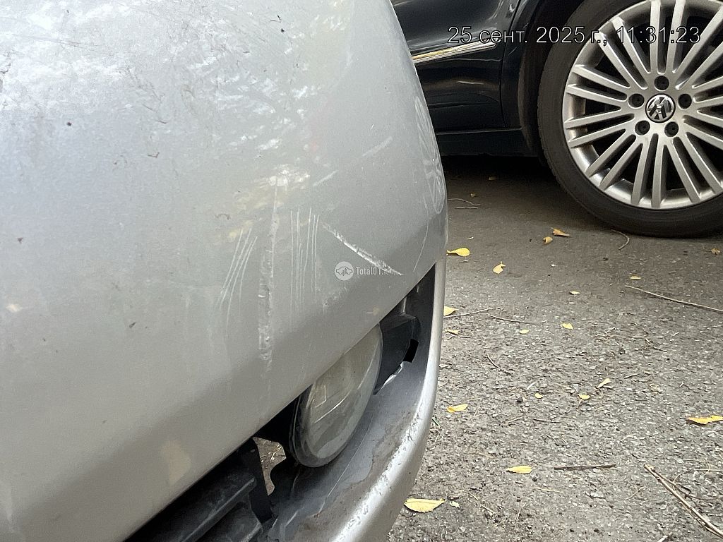 Фото Nissan Primera 248