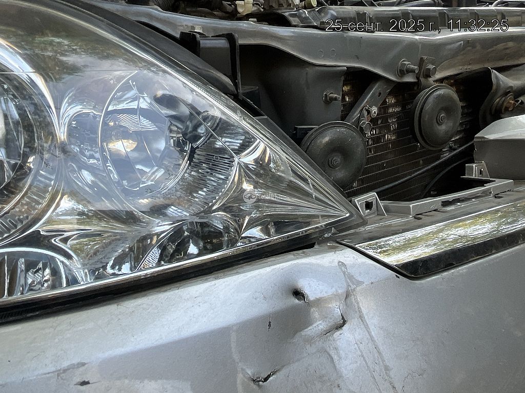 Фото Nissan Primera 306