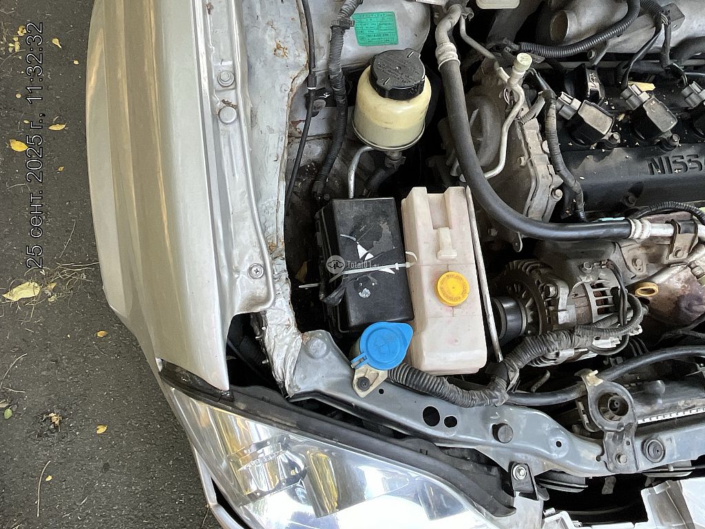 Фото Nissan Primera 312