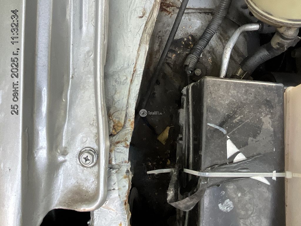 Фото Nissan Primera 316