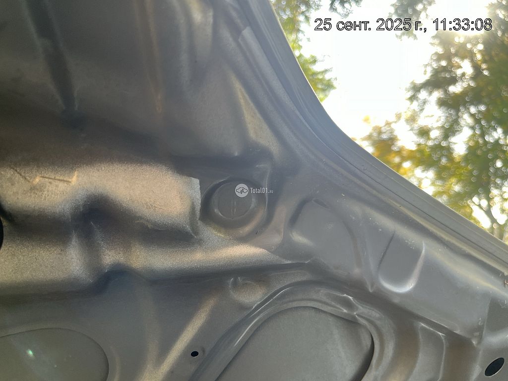 Фото Nissan Primera 334