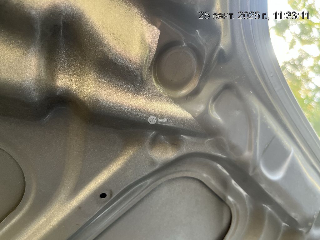 Фото Nissan Primera 338
