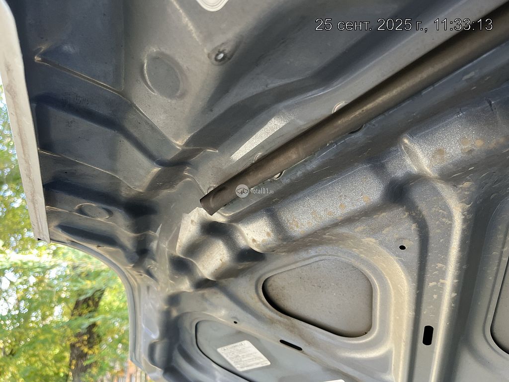 Фото Nissan Primera 340