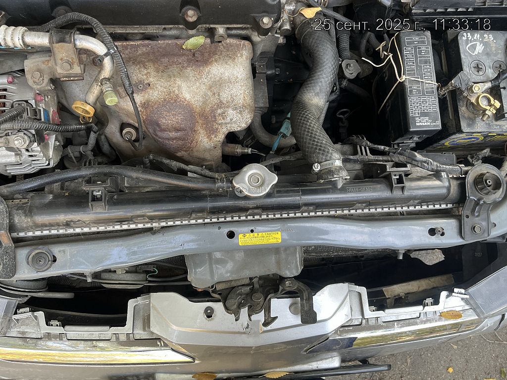 Фото Nissan Primera 346