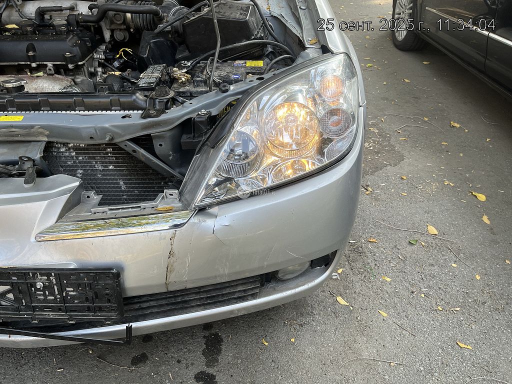 Фото Nissan Primera 358