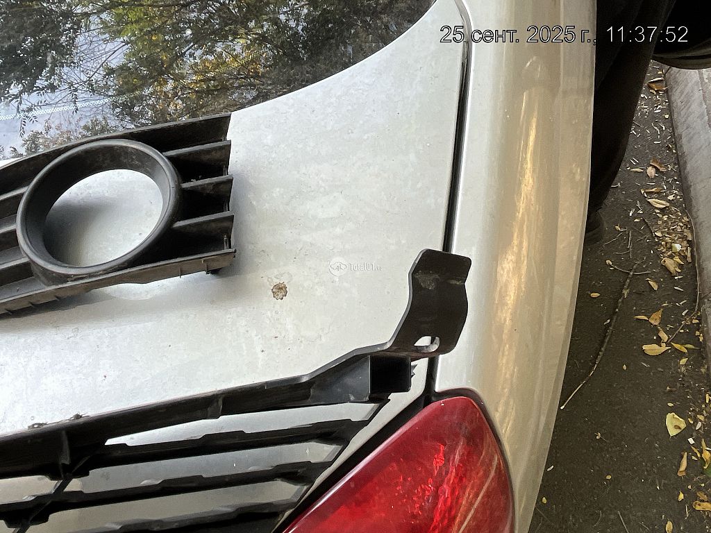 Фото Nissan Primera 368