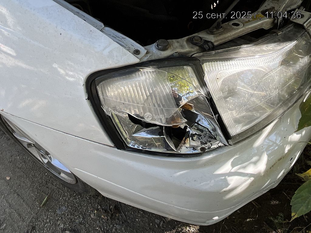 Фото Nissan Liberty 366