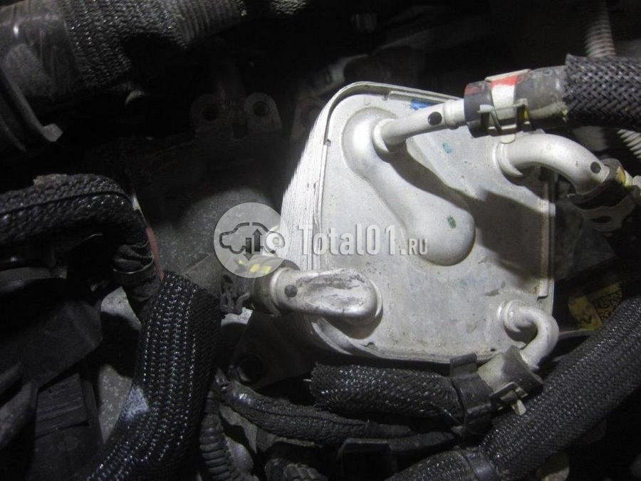 Фото Renault Kaptur 374