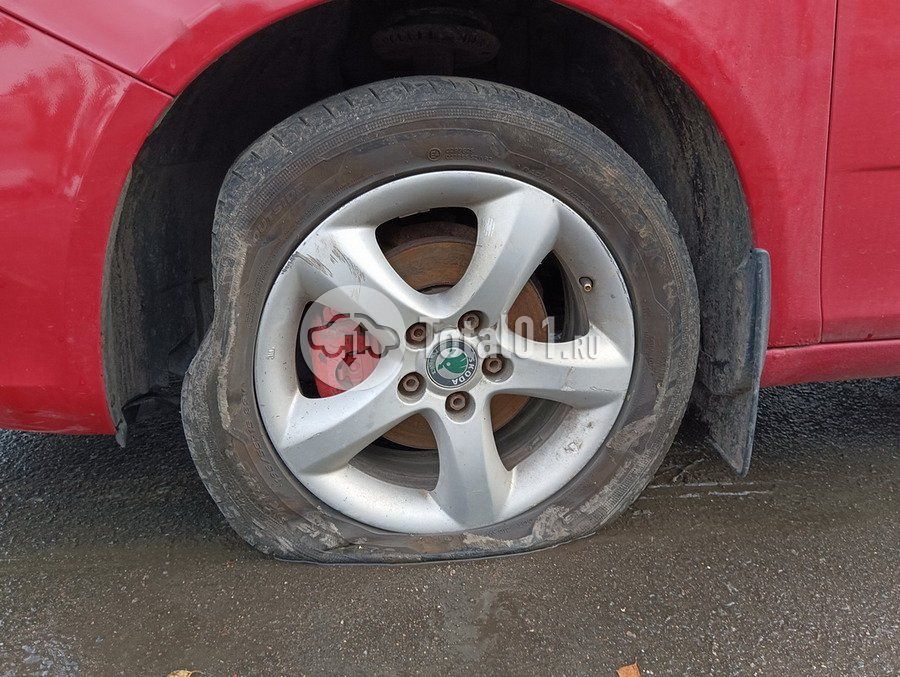 Фото Skoda Fabia 158