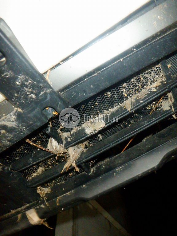 Фото KIA Sportage 250