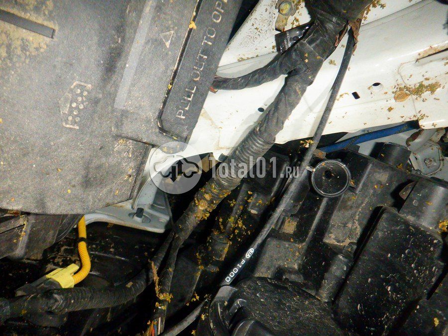 Фото KIA Sportage 268