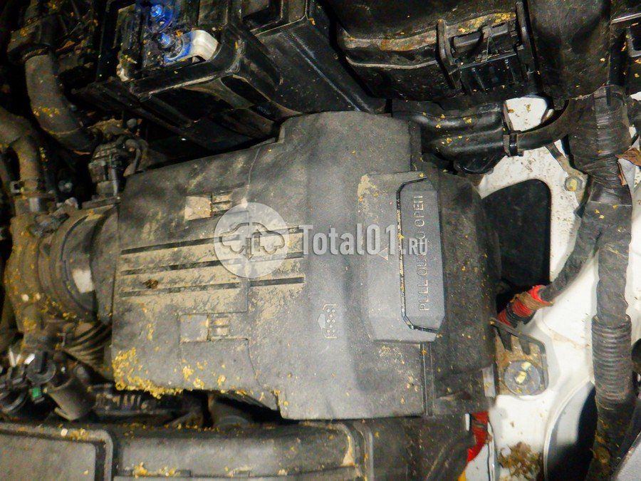 Фото KIA Sportage 270