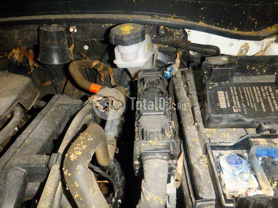 Фото KIA Sportage 272