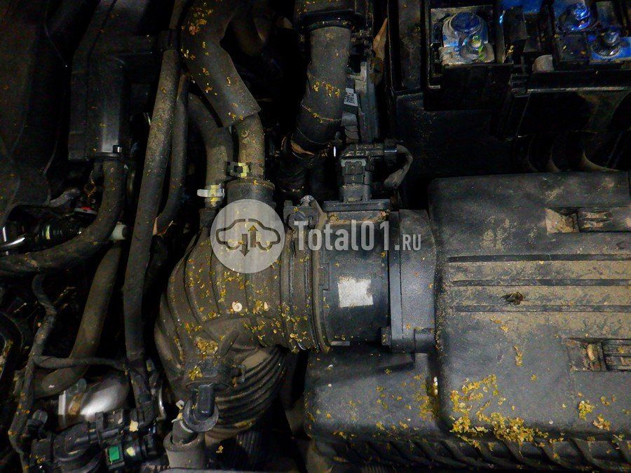 Фото KIA Sportage 274