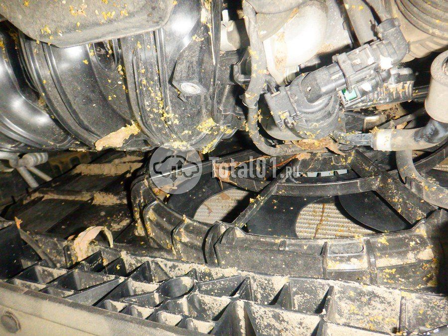 Фото KIA Sportage 276