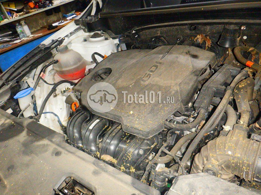 Фото KIA Sportage 280