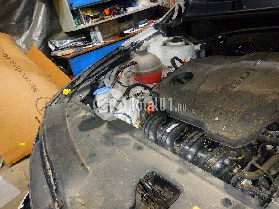 Фото KIA Sportage 282