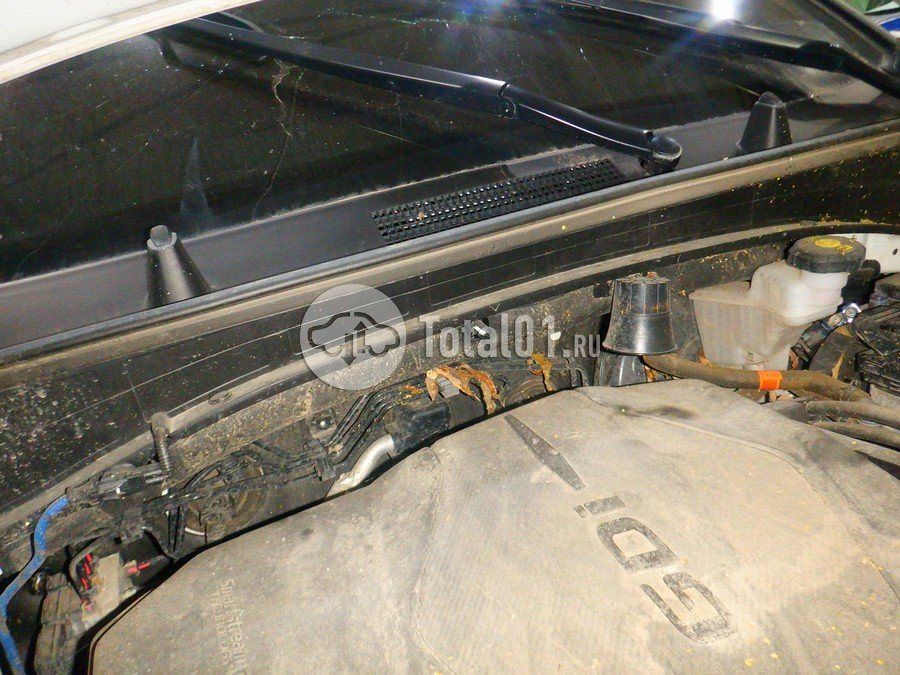 Фото KIA Sportage 286