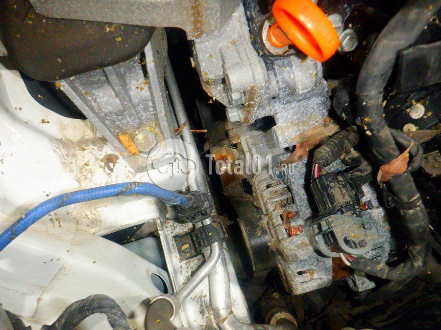 Фото KIA Sportage 290