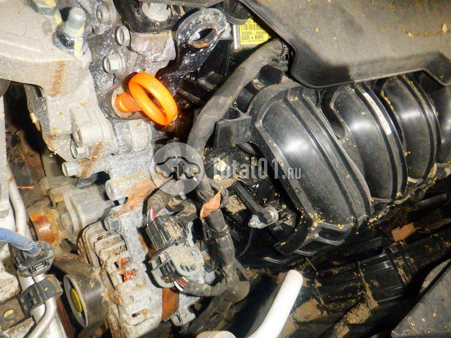 Фото KIA Sportage 294