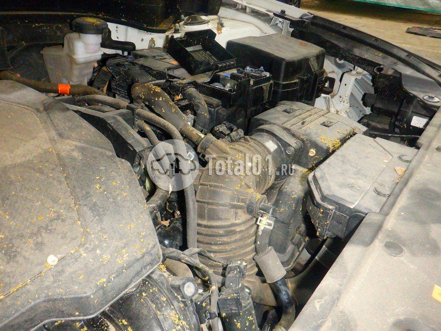 Фото KIA Sportage 296