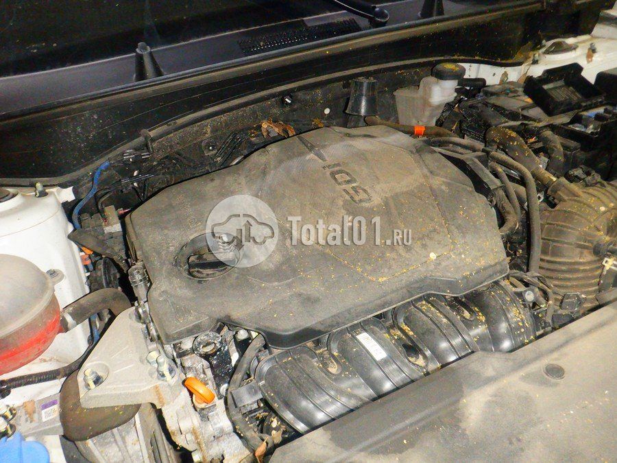 Фото KIA Sportage 298