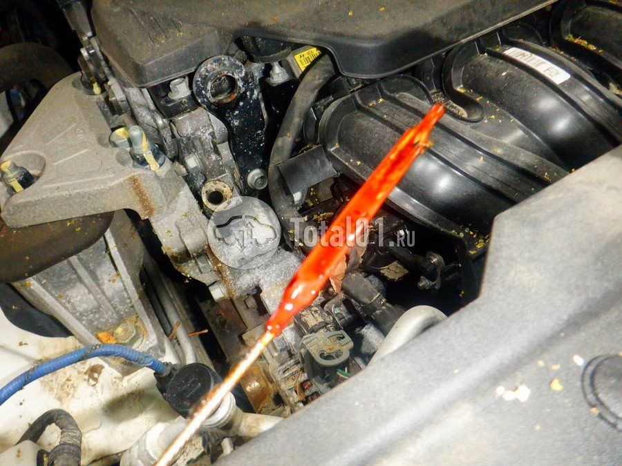 Фото KIA Sportage 300