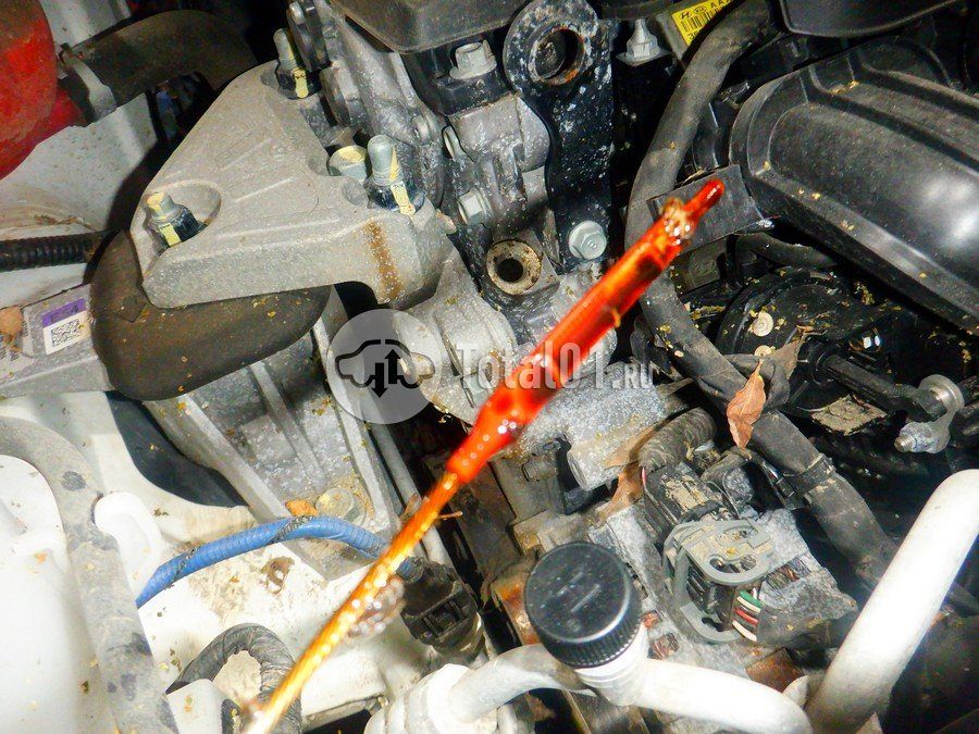 Фото KIA Sportage 302