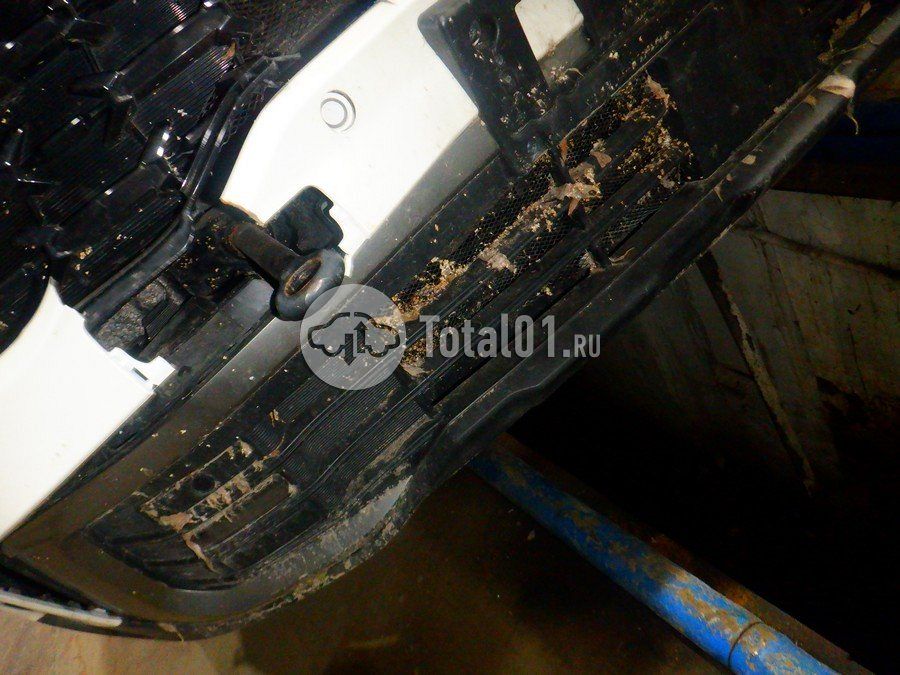 Фото KIA Sportage 306